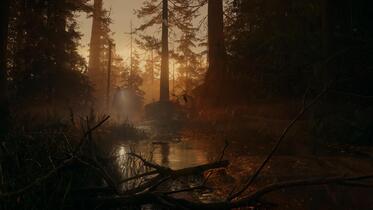 Alan Wake 2 - screenshot 5