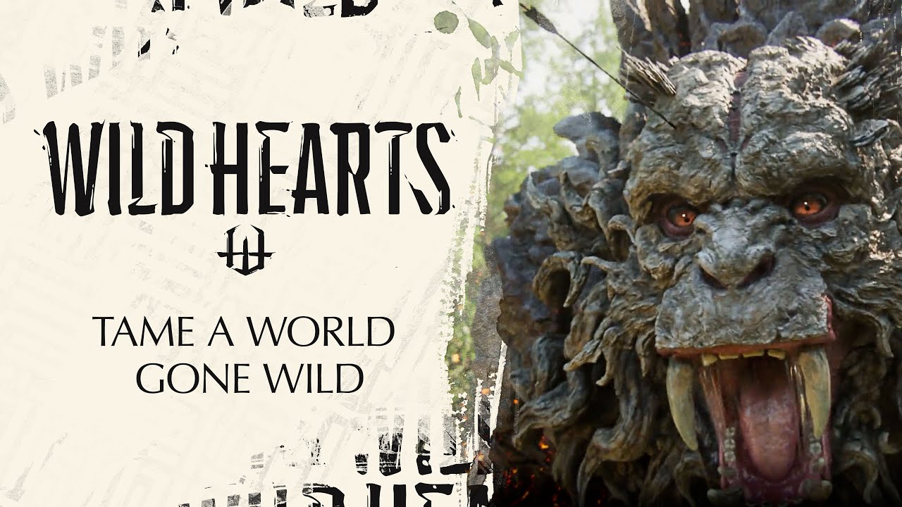 Wild Hearts - Tame a World Gone Wild